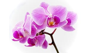 натяжной потолок Экономия